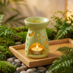 Aromatherapy
